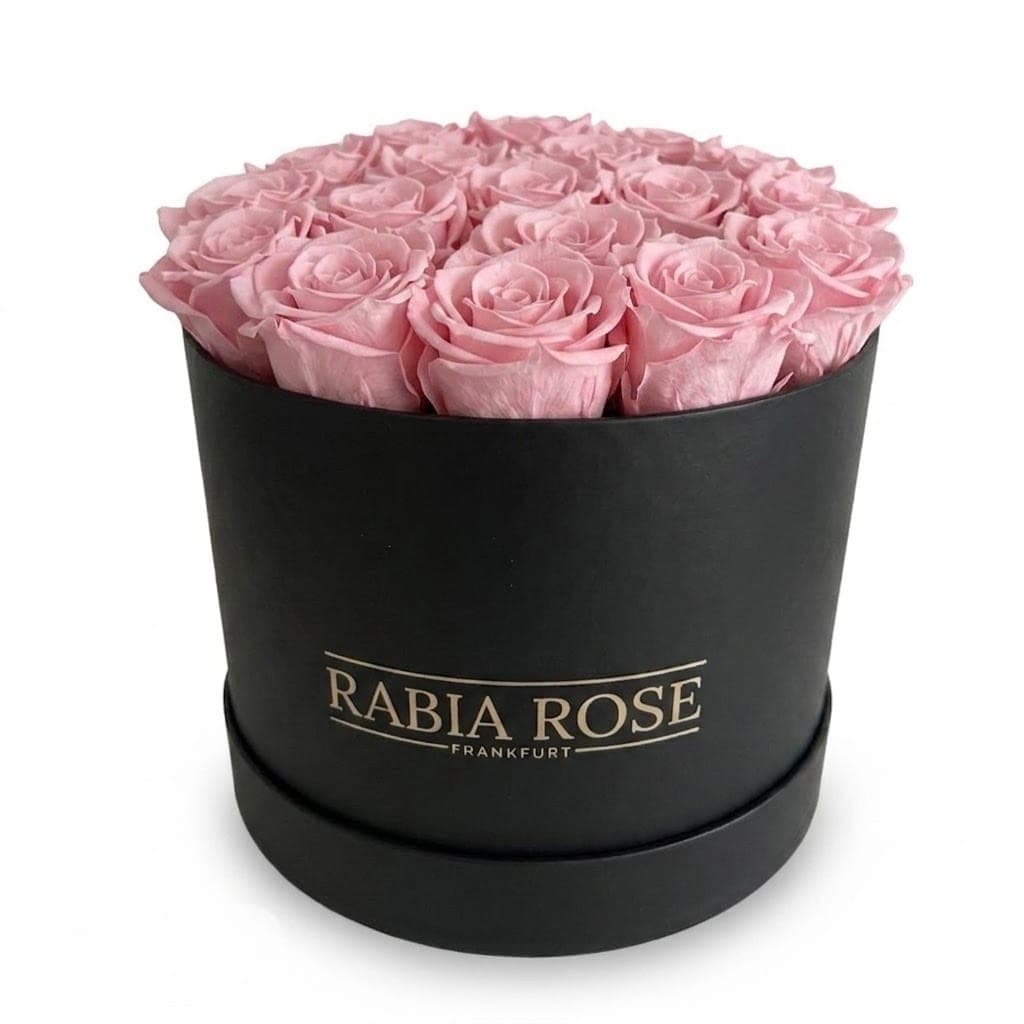 Infinity Rosenbox